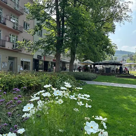 Rezidence Sadova Apartman *